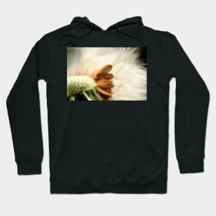 In The Breeze Hoodie